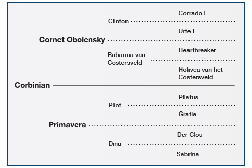 pedigree