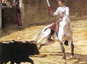 portugal bullfighting lusitano breeders horse unlike fighting