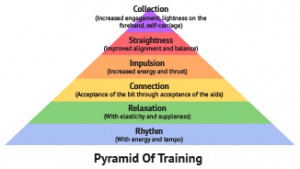 Climbing the Classical Pyramid – Step 1 | The Horse Magazine