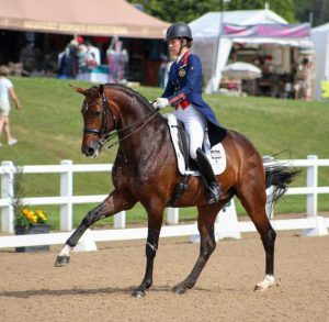 Young Horses, what do the judges look for? – The Horse Magazine