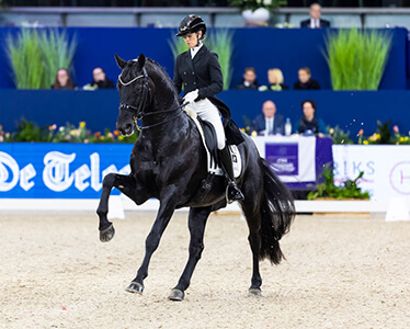 Wonderful dressage in Amsterdam…